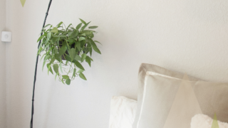 発達障がい者は、まず○○することからスタートを